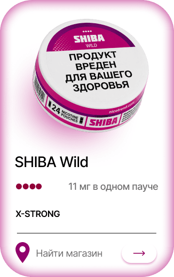 SHIBA wild — Лесные ягоды