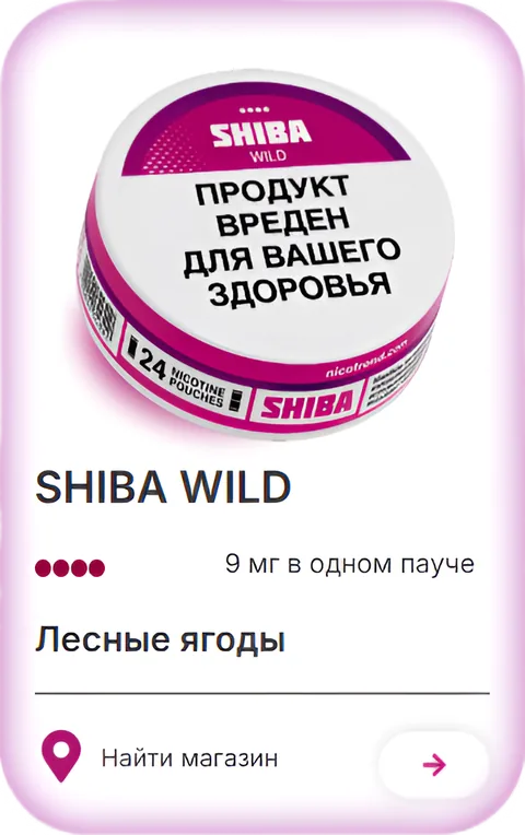SHIBA wild — Лесные ягоды